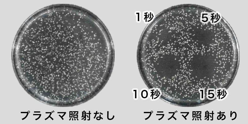アクネ菌の減少